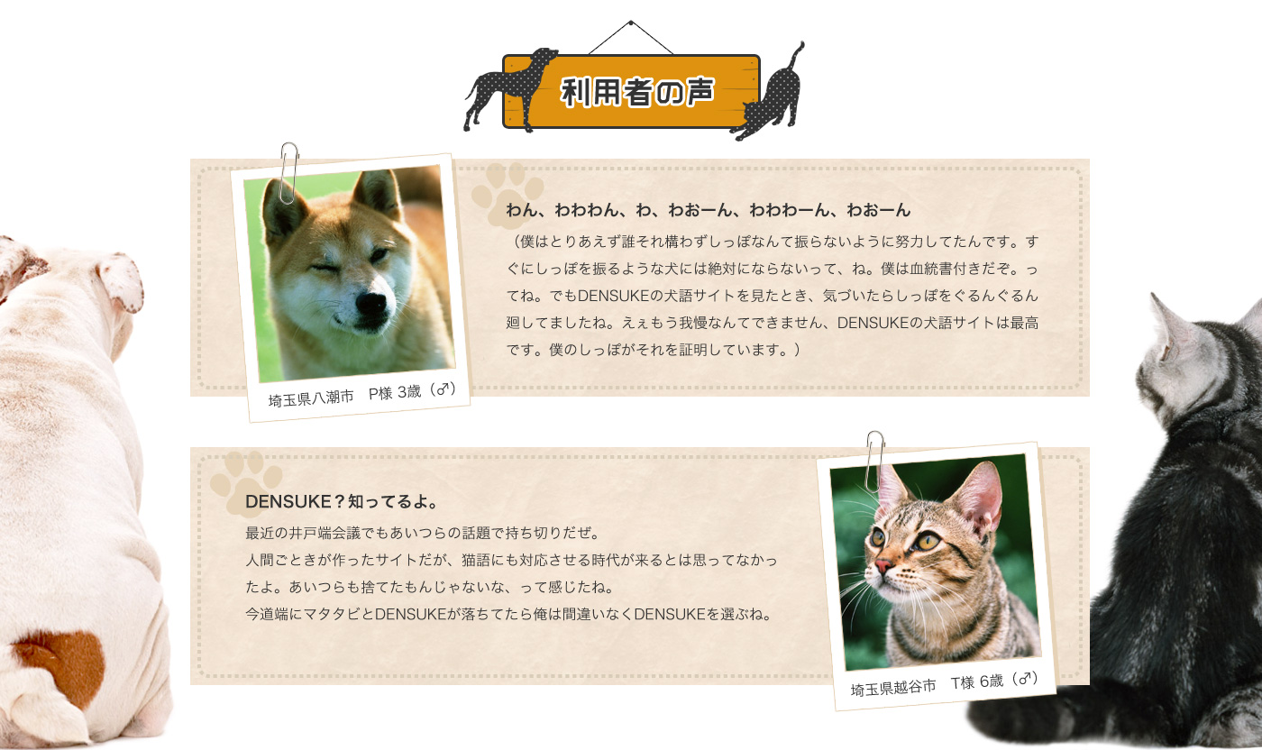 利用者の声